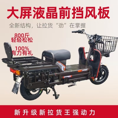 载重王电动车72V拉货外卖电瓶车两轮载货爬坡高速电摩