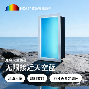 涂鸦ZigBee护眼青空灯ra98高显指智能厨房过道网红吸顶灯蓝天空灯