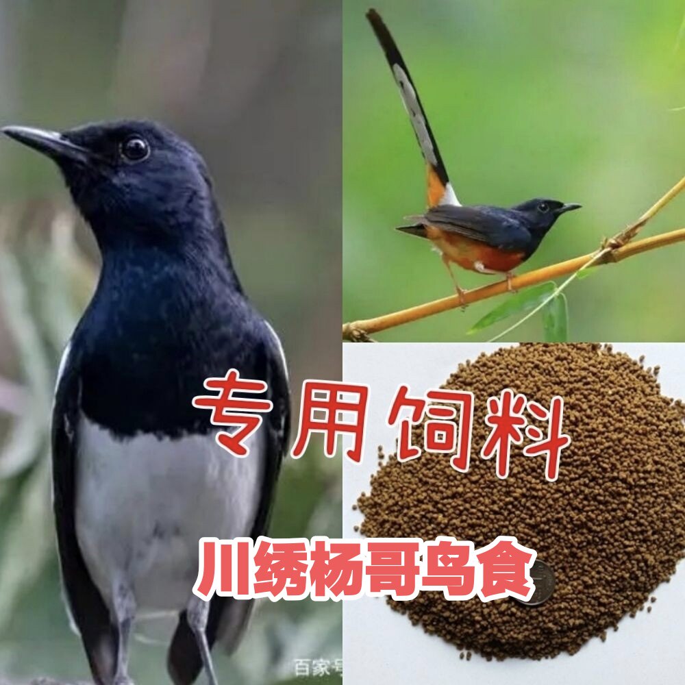 四喜饲料鸟食鸟粮长膘上性爱叫换毛无忧黑白四喜 长尾四喜500克