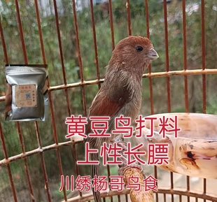 黄豆鸟食饲料黄腾鸟食斗鸟提性打彩鸟食500克川绣杨哥鸟食