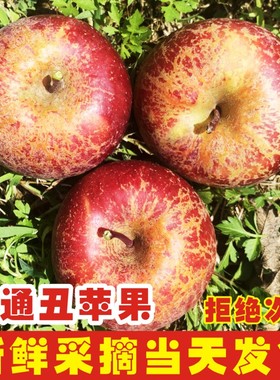 2025年云南昭通丑苹果新鲜昭通市冰糖心富士苹果水果当季整箱
