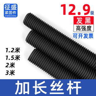 12.9级加长丝杆1.2米1.5米2米3米牙条螺杆全螺纹通丝杆螺柱M16M20