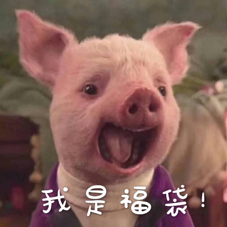 猪年一起666！诸事顺利福袋！诸事顺心福包 瑕疵一对单拍不发喔！