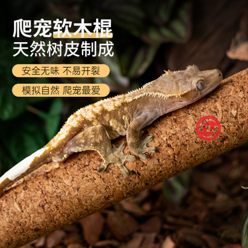 爬宠软木棍R爬虫蛇树蛙木棍