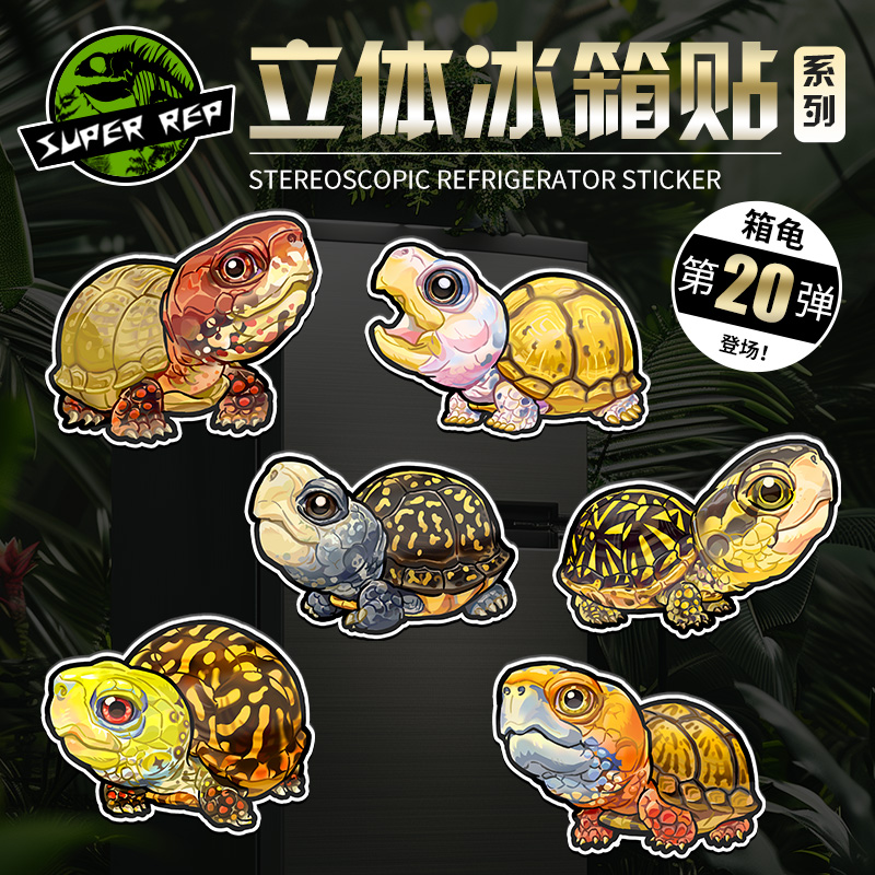 SuperRep爬宠创意冰箱贴第20弹箱龟墨西哥佛箱龟锦箱龟立体磁吸贴