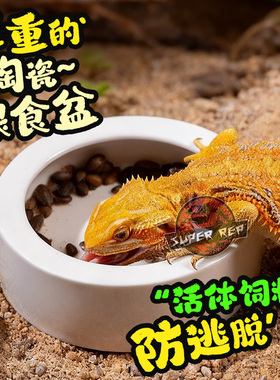 SuperRep爬虫防逃逸食盆爬宠蜥蜴守宫鬃狮面包虫大麦虫无菌陶瓷盆
