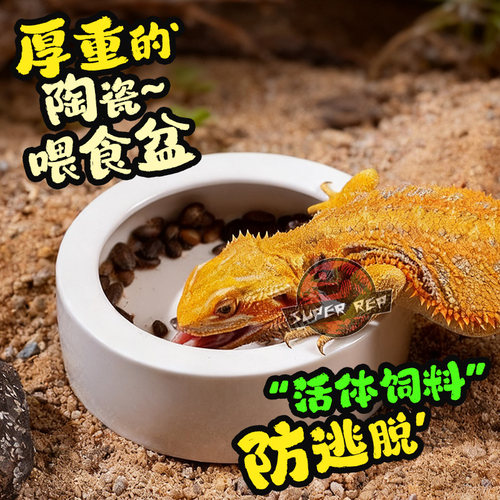 SuperRep爬虫防逃逸食盆爬宠蜥蜴守宫鬃狮面包虫大麦虫无菌陶瓷盆