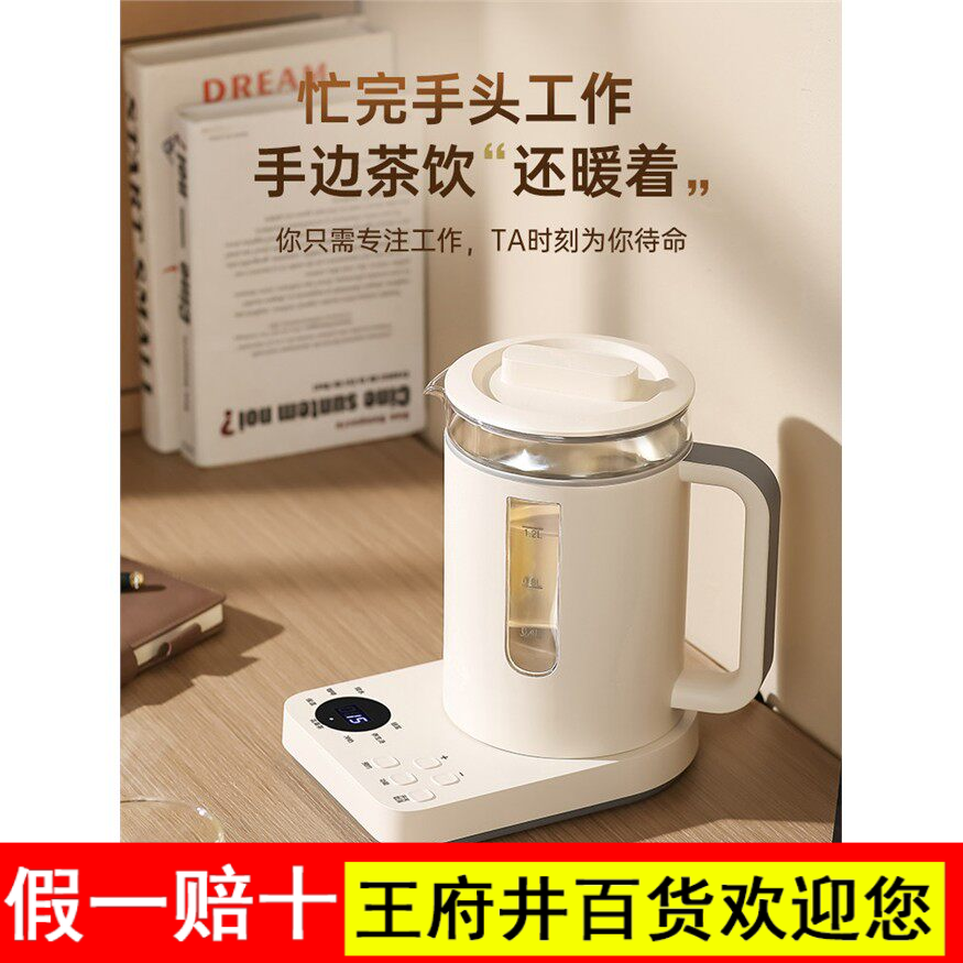 印趣养生壶多功能小型烧水壶110v美国日本加拿大出口家用花茶壶