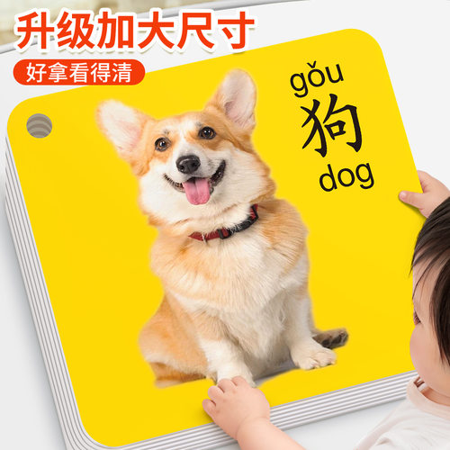 看图识物卡动物卡片早教认知卡片