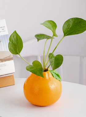 黄色创意水果橘子陶瓷水培绿植花瓶客厅玄关桌面插花摆件花器