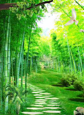 竹子绿色海报壁纸风景画