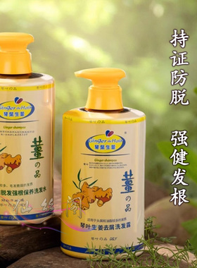 琴叶生姜洗发水防脱发控油老姜汁洗发水男士女士去屑清爽去油滋润