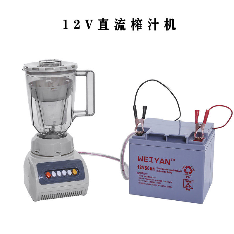 DC12V榨汁机 接电瓶直12伏外贸出口货源 汽车用品家电 直流果汁机