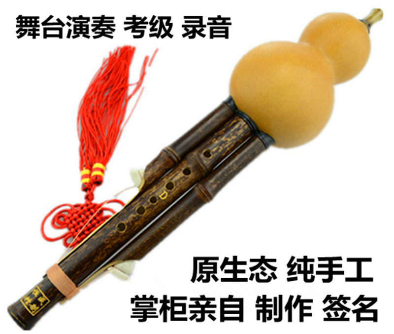 学生儿童成人初学者专业演奏
