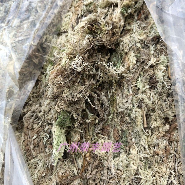 特价促销-出口大包装干/苔藓/水草(食虫植物/兰花/微景观用)