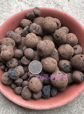 陶粒花木栽培园艺介质疏水透气