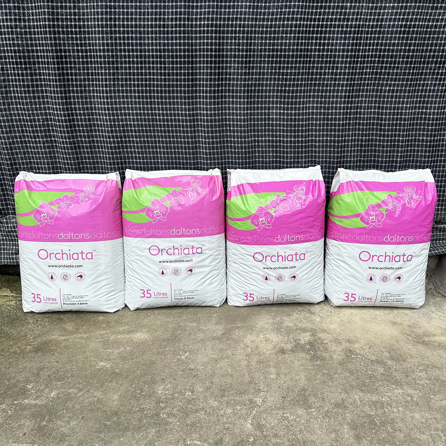 新西兰奥奇亚塔松树皮兰科多肉用