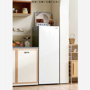 韩国大宇泡菜冰箱家用小型冰柜科学控制发酵恒久保鲜不变酸不变味