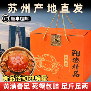 活蟹苏州阳澄探花湖水大闸蟹礼盒装公5.5两母4.5两10只鲜活螃蟹