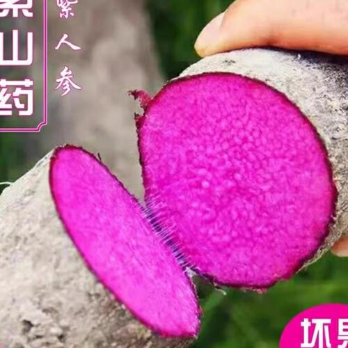江西安远紫山药 会流失水分 物流可能会断不影响食用 介意勿拍