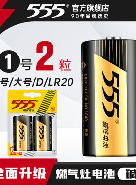555大号电池2粒一号碱性电池1号1.5v干电池lr20热水器煤气灶燃气