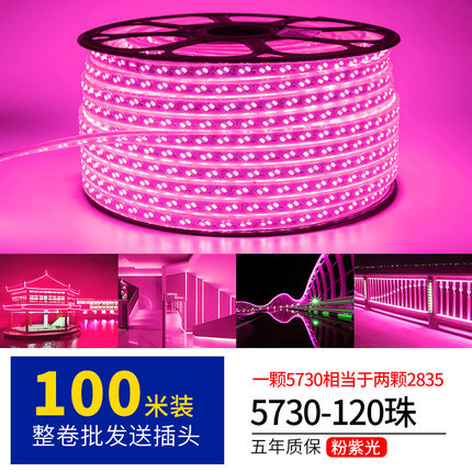 led灯带粉颜色220v卷100米室外防水工程工地下室隧道养殖照明灯条