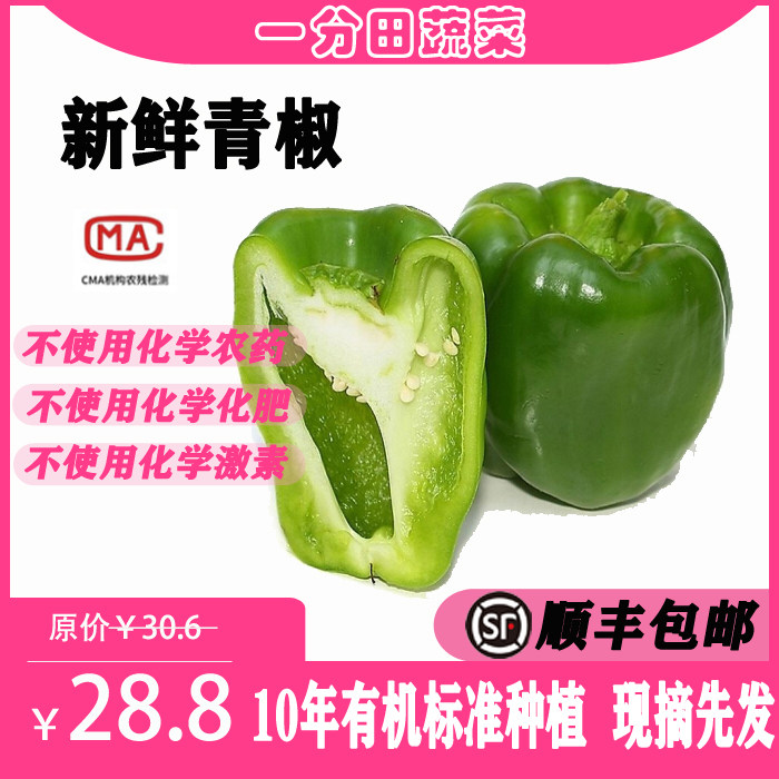 一分田 有机圆椒 新鲜青椒 甜椒蔬菜 蔬菜配送 【顺丰速运】500g