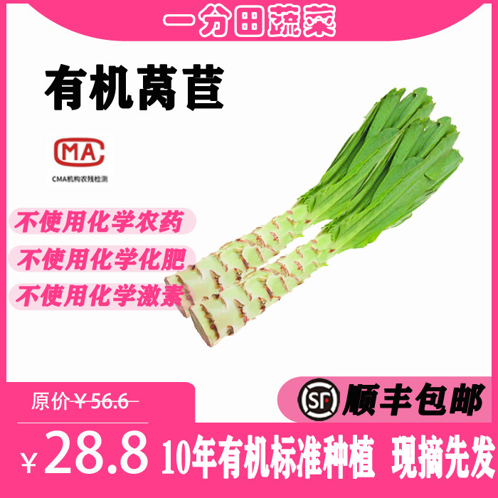 一分田有机莴苣莴笋 约500g 新鲜蔬菜生鲜套餐 配送 【顺丰速运】