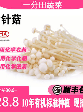 一分田 金针菇 约300g/500g火锅烧烤食材 生鲜 配送 【顺丰速运】