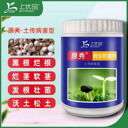 抗病生根毛慈菇菌剂上优品壮根