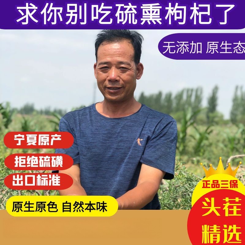 宁夏农科院枸杞逸诚正宗头茬