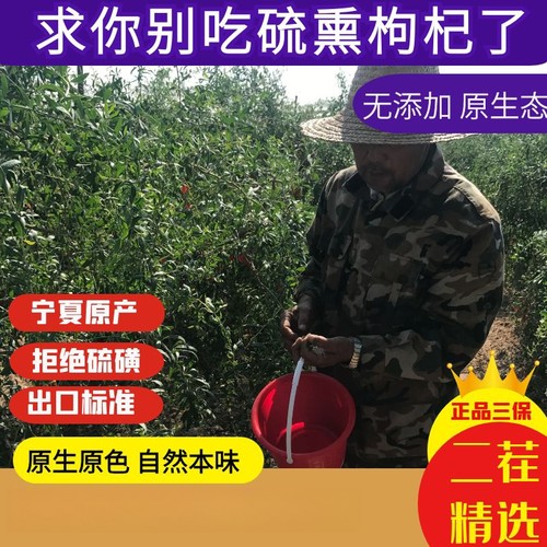 中宁枸杞枸杞子宁夏特级500g宁夏