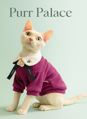 Purr Palace德文花边拼色衣服无毛猫斯芬克斯猫可爱秋冬公主针织