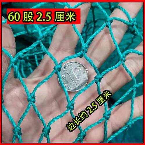 订做爬藤网大棚防风网110股5/10/203040厘米围护球网体育用网渔网