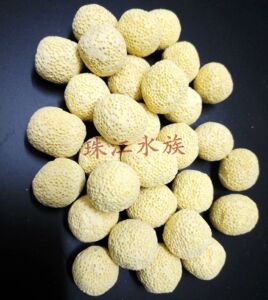 细菌球生物珠呼吸球细菌屋净化水质过滤材料500G