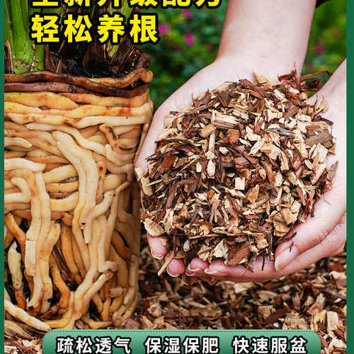 石斛兰花专用种植土水杨梅养根