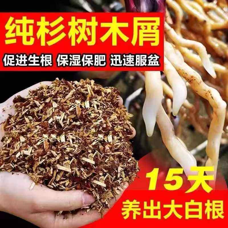 新型兰花专用植料兰科营养土专用土有机纯杉木屑质料君子兰蝴蝶兰