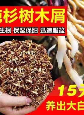 新型兰花专用植料兰科营养土专用土有机纯杉木屑质料君子兰蝴蝶兰