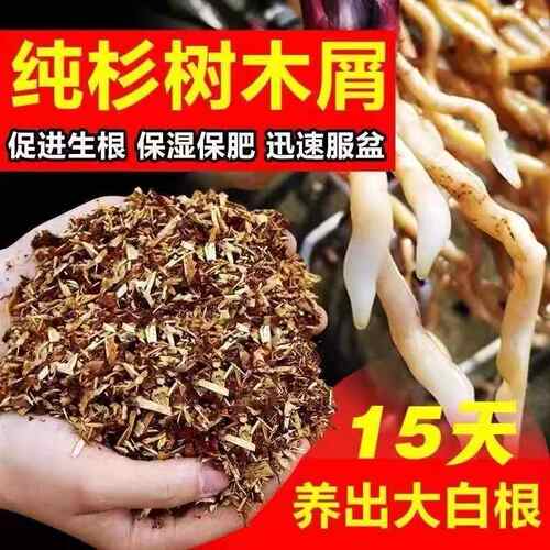 新型兰花专用植料兰科营养土专用土有机纯杉木屑质料君子兰蝴蝶兰