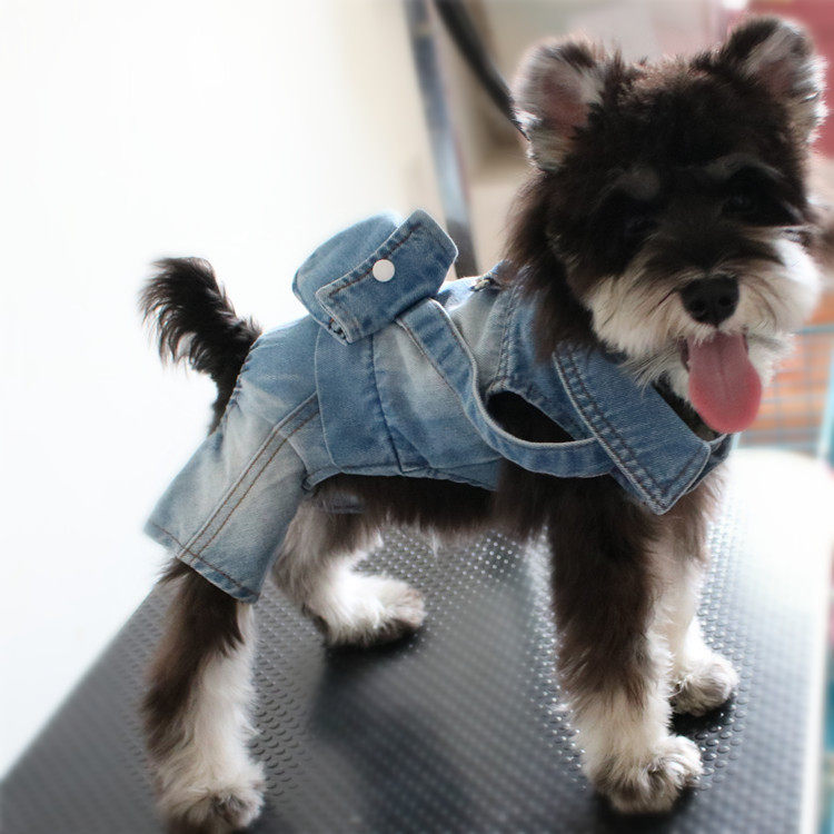 牛仔背包连体猫咪宠物衣服狗狗四脚衣泰迪比熊小型犬服饰春秋冬装