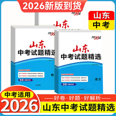 中考试题精选山东专版