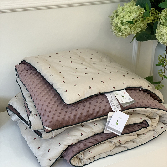 大鹅韩国暖绒全棉豆豆被春秋被2米双人被芯纯棉大豆被四季被子