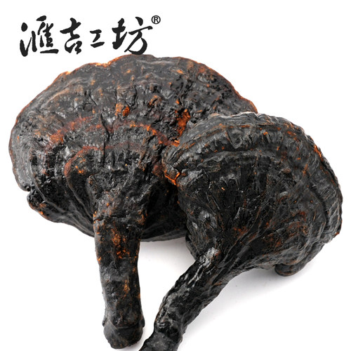 汇吉工坊长白山反柄紫灵芝买3送1