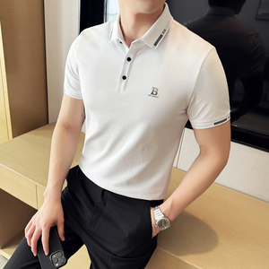 2025夏季新款翻领短袖  POLO衫男 PL6602-P55图片