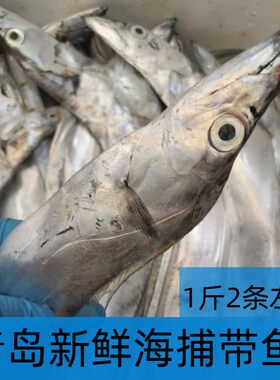 深海鱼青岛大刀鱼一斤2条左右