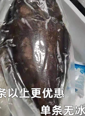 整条大鲽鱼1000g格陵兰比目鱼碟鱼头鲽鱼身深海鱼新鲜冷冻包邮