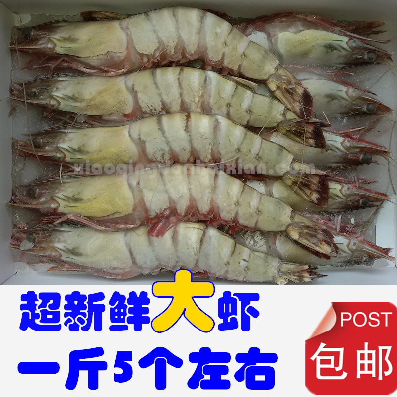 新鲜鲜活大虾海鲜2斤包邮海捕虾