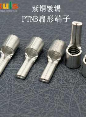 扁形裸端子PTNB10-12/16-13/25-15/35-20/50-20针形紫铜接线端子