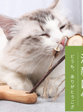 有趣木天蓼拨浪鼓逗猫棒清新口气耐咬自嗨猫玩具猫咪磨牙棒猫草虫
