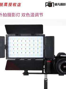 锐鹰  led外拍摄影灯 DV摄像led补光灯 外拍灯 双色温调节DV-405VC